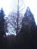 1.5M
